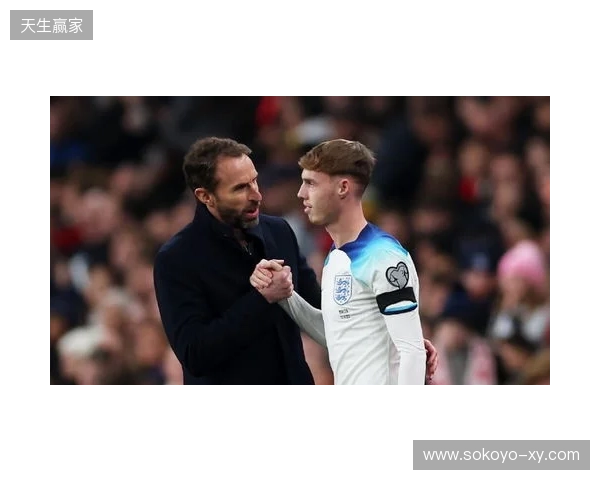 图赫尔谈10号位:一阶段考察帕尔默&福登;二阶段贝林&罗杰斯